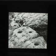 Böhl glass slide 61.2/1680